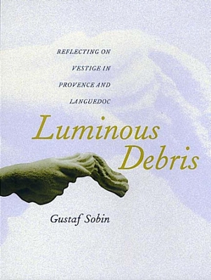 Luminous Debris book
