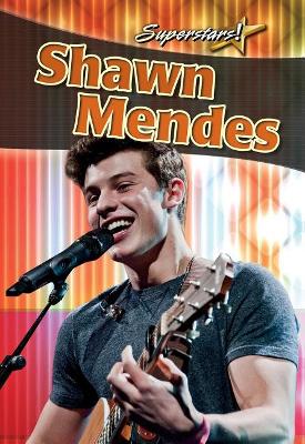 Shawn Mendes book