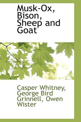 Musk-Ox, Bison, Sheep and Goat book