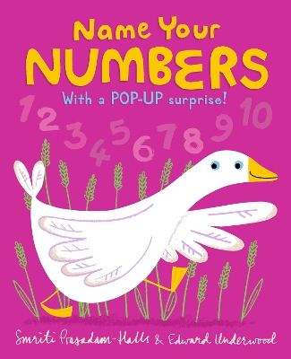 Name Your Numbers book