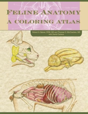 Feline Anatomy book