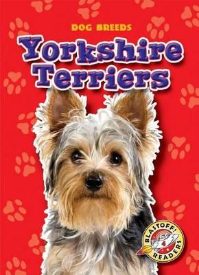 Yorkshire Terriers by Sara Green