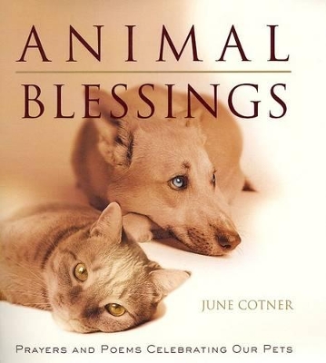 Animal Blessings book