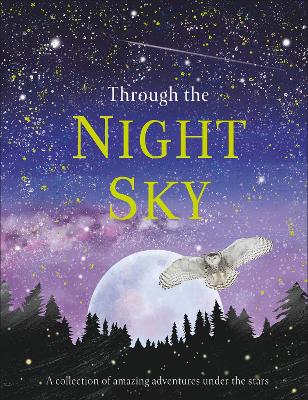 Through the Night Sky: A collection of amazing adventures under the stars by DK