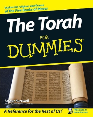 Torah for Dummies book