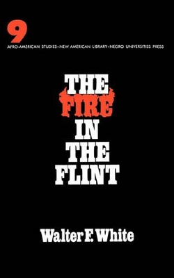 Fire in the Flint book