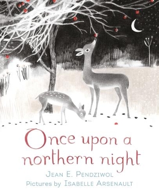 Once Upon a Northern Night by Isabelle Arsenault