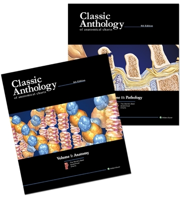 Classic Anthology of Anatomical Charts Book book