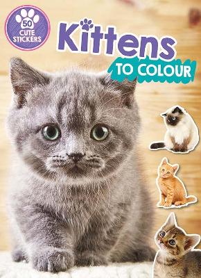 Kittens to Colour book