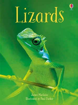 Usborne Beginners: Lizards book
