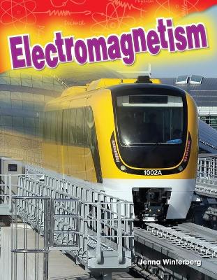 Electromagnetism book