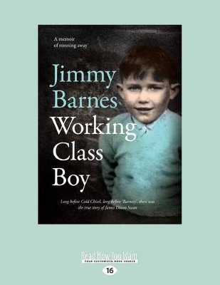 Working Class Boy book