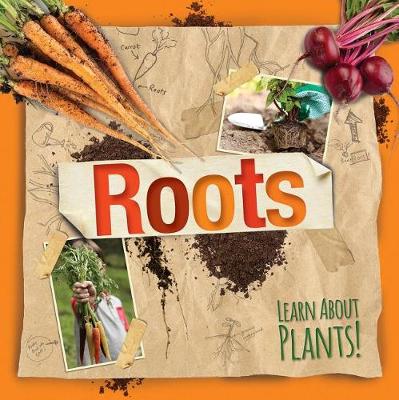 Roots by Steffi Cavell-Clarke