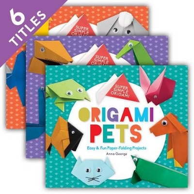 Super Simple Origami (Set) book