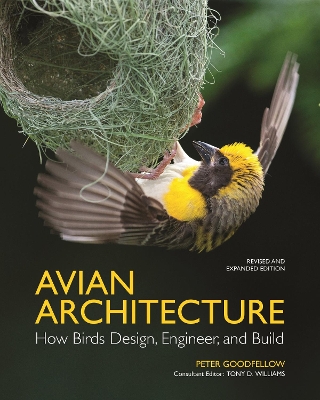 Avian Architecture Revised and Expanded Edition: How Birds Design, Engineer, and Build book