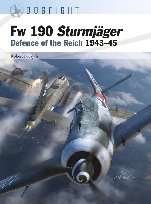 Fw 190 Sturmjäger: Defence of the Reich 1943–45 book