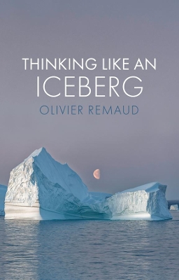 Thinking Like an Iceberg book