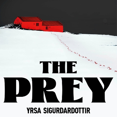 The Prey: the gripping international bestseller and Sunday Times Crime Book of the Year 2023 by Yrsa Sigurdardottir
