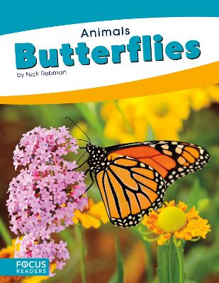 Butterflies book