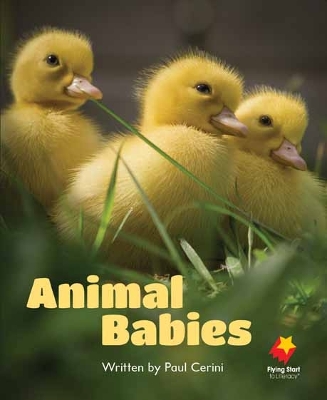 Animal Babies book