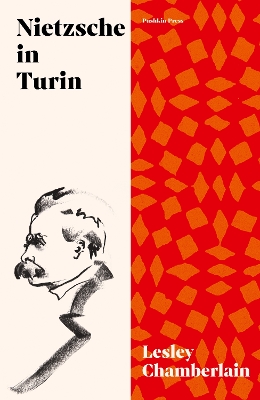 Nietzsche in Turin: The End of the Future by Lesley Chamberlain