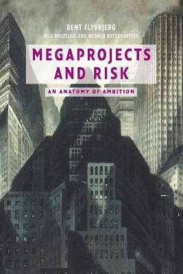 Megaprojects and Risk book