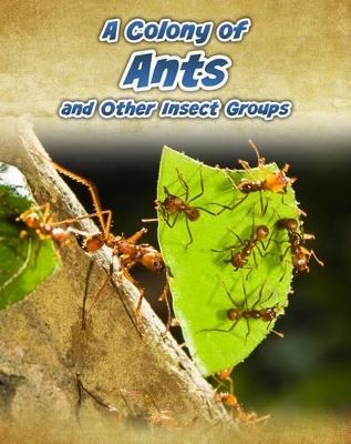 Colony of Ants book