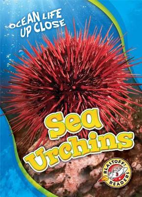 Sea Urchins by Heather Adamson