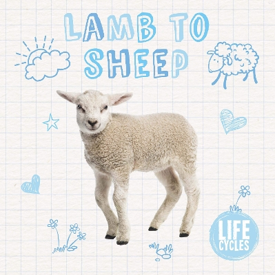 Lamb to Sheep book