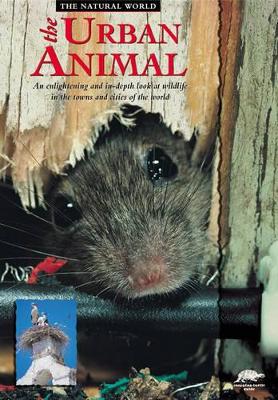 Urban Animal book
