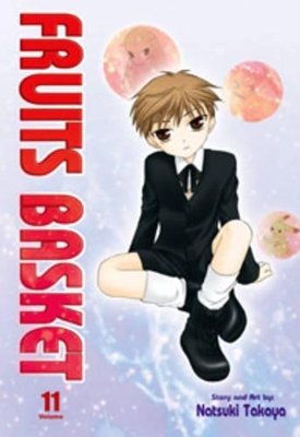 Fruits Basket: v. 11 book