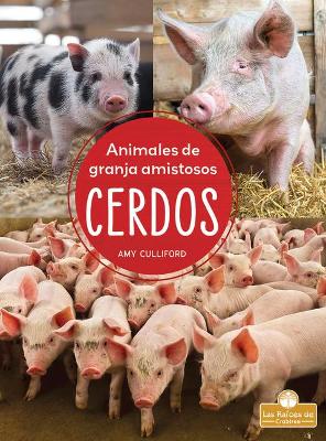Cerdos (Pigs) by Amy Culliford