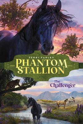 The Challenger: Volume 6 by Terri Farley