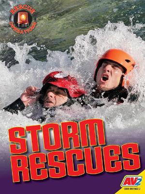 Storm Rescues book