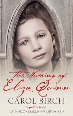 Naming Of Eliza Quinn book