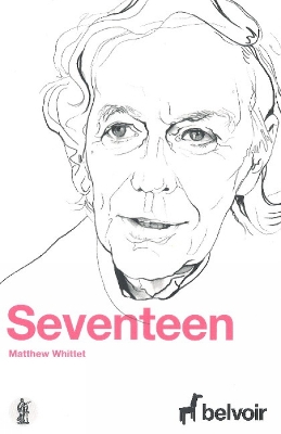 Seventeen book