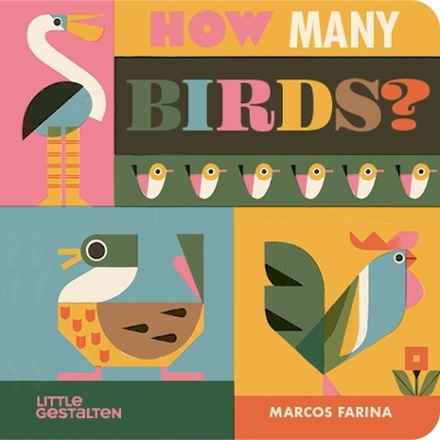 How Many Birds? book