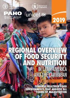 2019 regional overview of food security and nutrition in Latin America and the Caribbean: towards healthier food environments that address all forms of malnutrition book