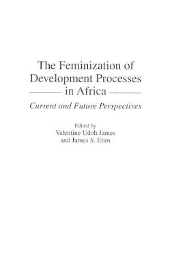 Feminization of Development Processes in Africa book