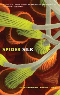 Spider Silk by Leslie Brunetta