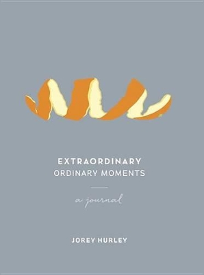 Extraordinary Ordinary Moments book