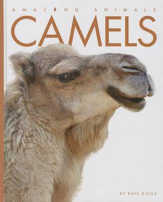 Camels by Kate Riggs