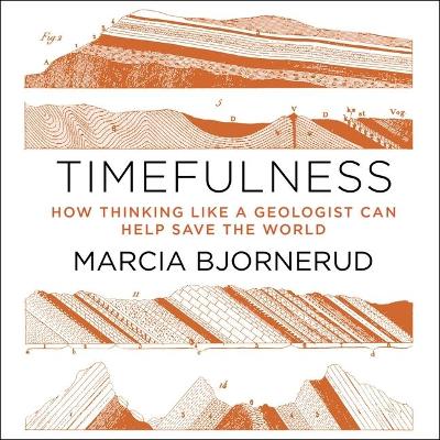 Timefulness: How Thinking Like a Geologist Can Help Save the World book