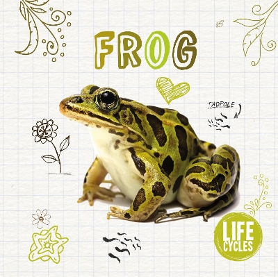 Life Cycle of a Frog book