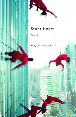 Stunt Heart book