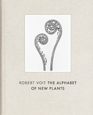 Robert Voit book