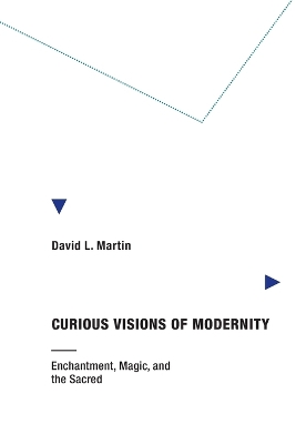 Curious Visions of Modernity book