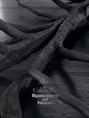 Allora & Calzadilla Specters of Noon book