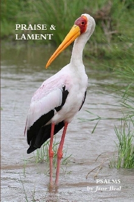 PRAISE & LAMENT: Psalms for the God of Birds book