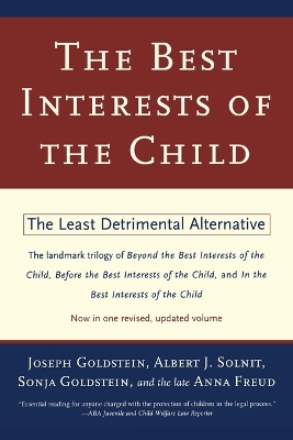 Best Interests of the Child book